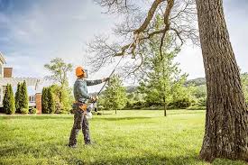 Best Lawn Grading and Leveling  in San Elizario, TX