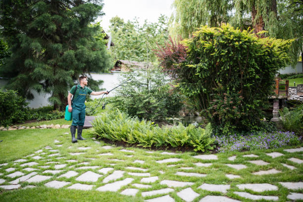 Best Lawn Watering Services  in San Elizario, TX